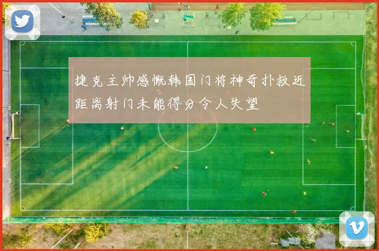 捷克主帅感慨韩国门将神奇扑救近距离射门未能得分令人失望