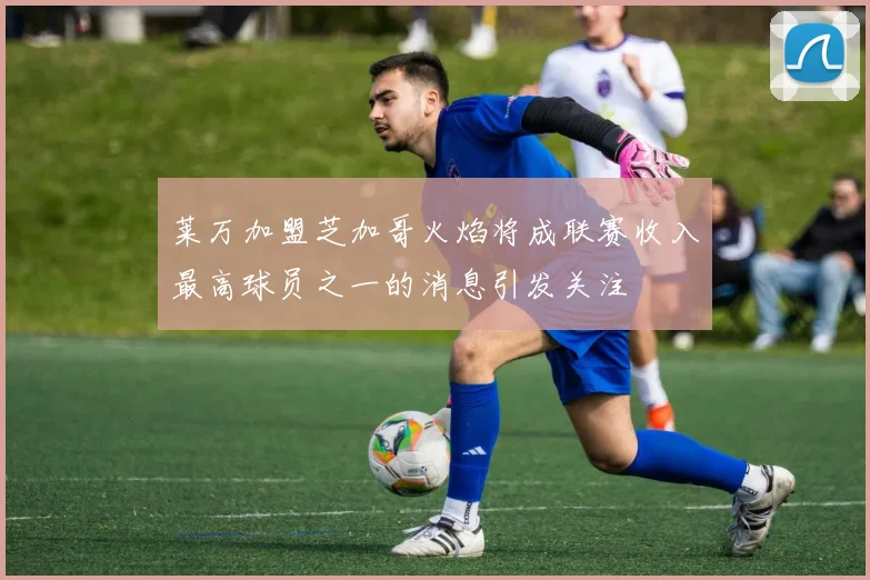 莱万加盟芝加哥火焰将成联赛收入最高球员之一的消息引发关注