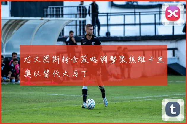 尤文图斯转会策略调整聚焦维卡里奥以替代大马丁