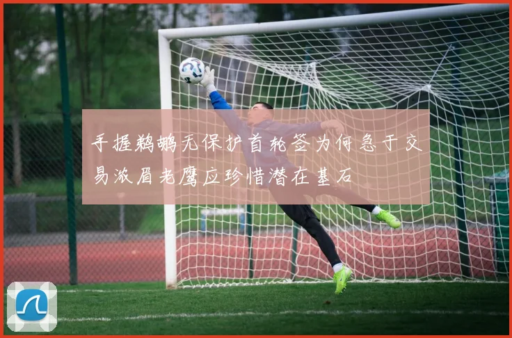 手握鹈鹕无保护首轮签为何急于交易浓眉老鹰应珍惜潜在基石